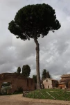Paysage Romain
