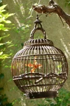 Cage