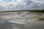 Chenal
