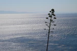 Cap Sounion
