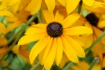 DSCF1670