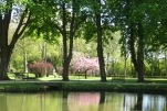 Reflets