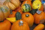 Couleurs d automne