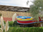 Couleurs Maltaise