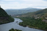 DSCF2409