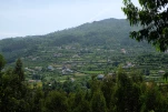 DSCF2396