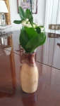 vase-2